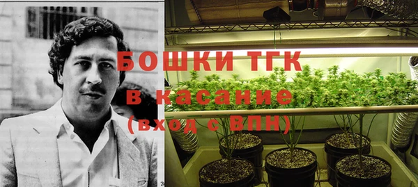 дурь Михайловск