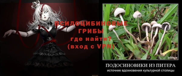 тгк Навашино