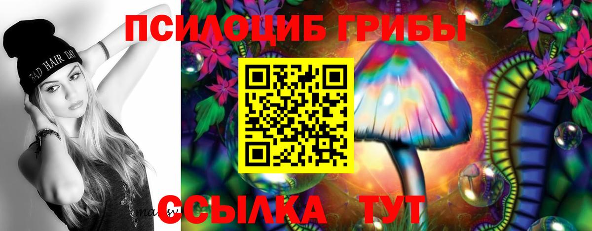 Псилоцибиновые грибы Psilocybe  Вход с VPN  Зеленодольск 